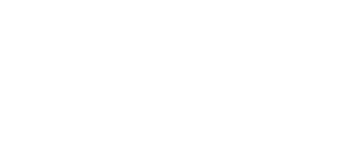 Strategic Success Consulting, LLC