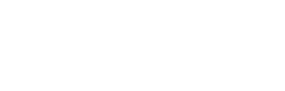 NeedSpeed