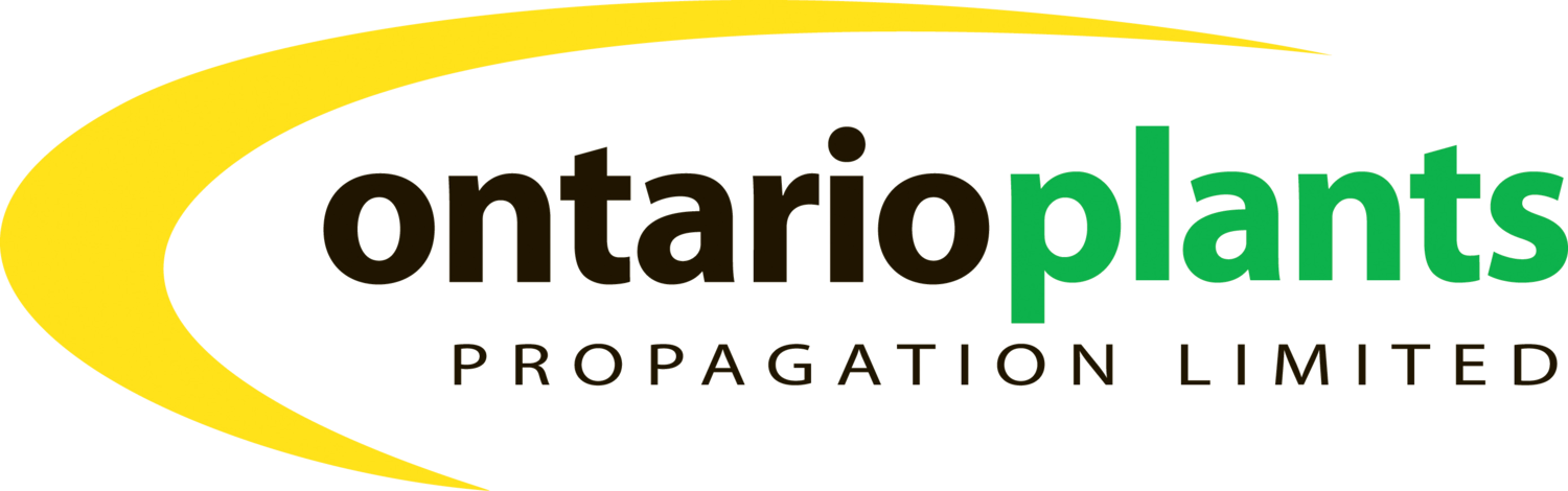 Ontario Plants Propagation