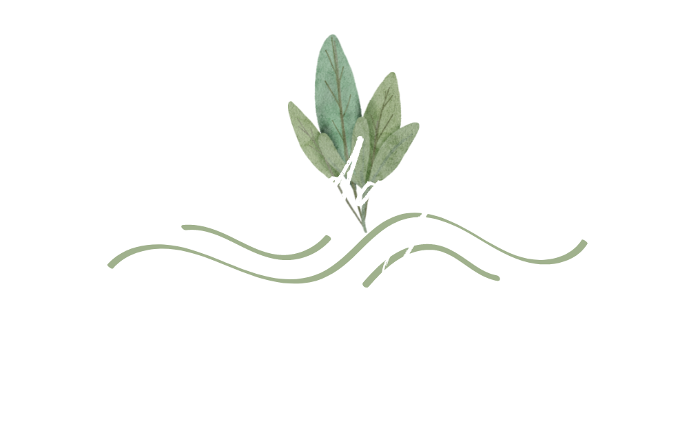 amanda jean photography