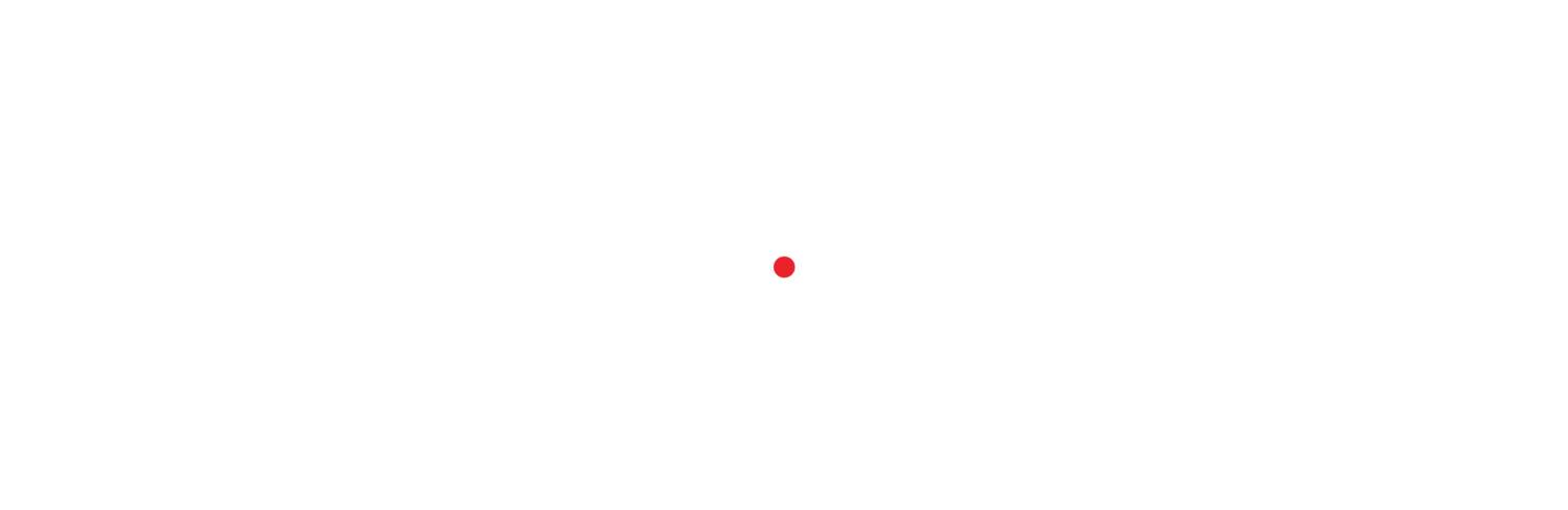 PANTHERA GROUP