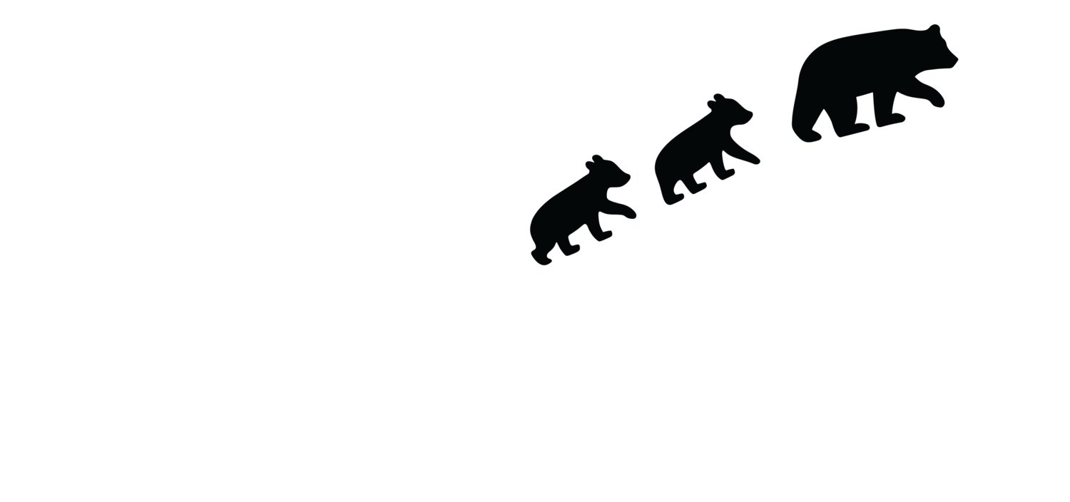 Sleeping Bear Tour Co.