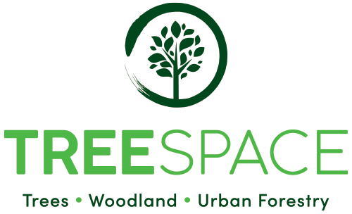 Tree Space | Tree Surveys | Tree Planning &amp; Development | Tree Safety | Woodland Management