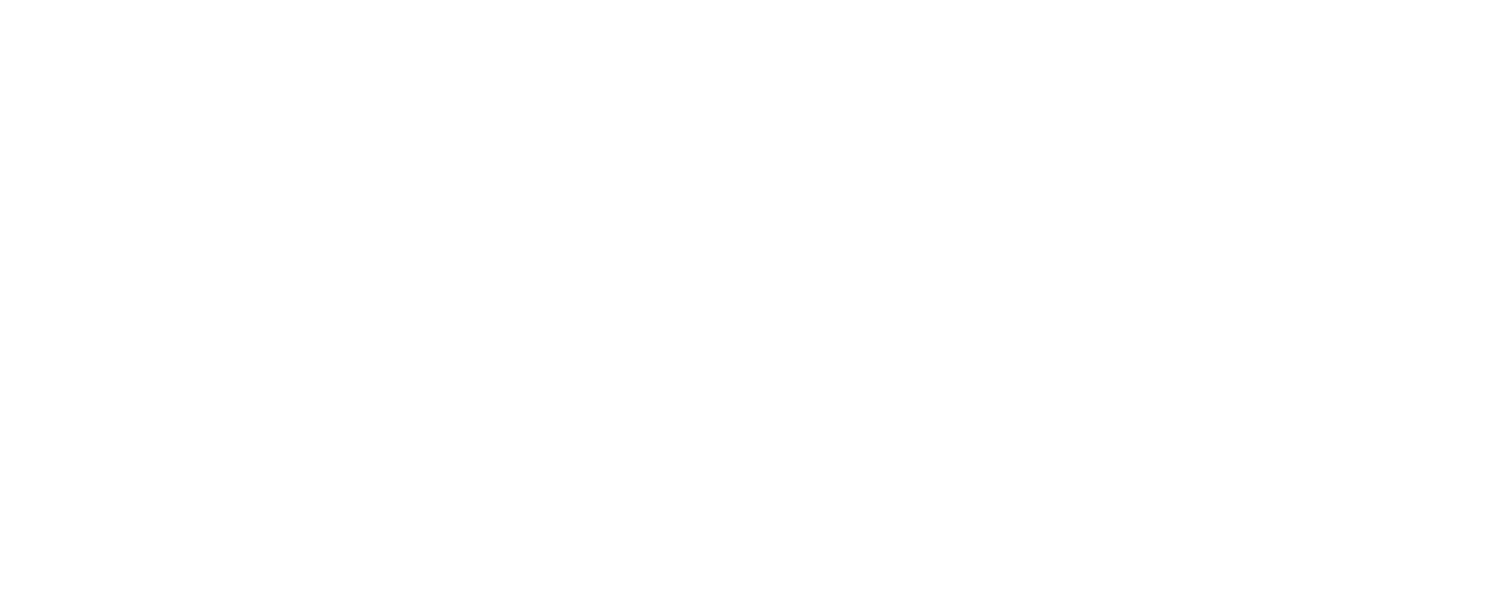 Indy Spine and Strength