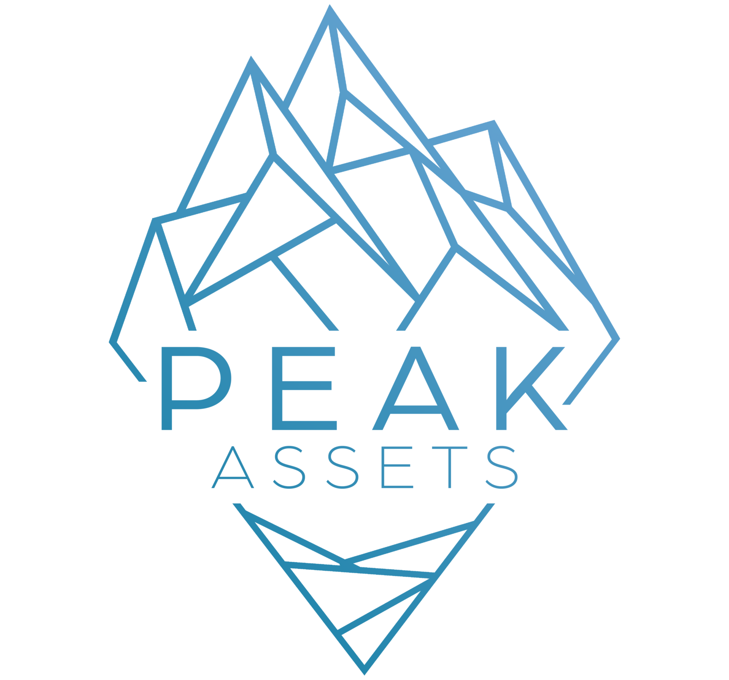 Peak Assets