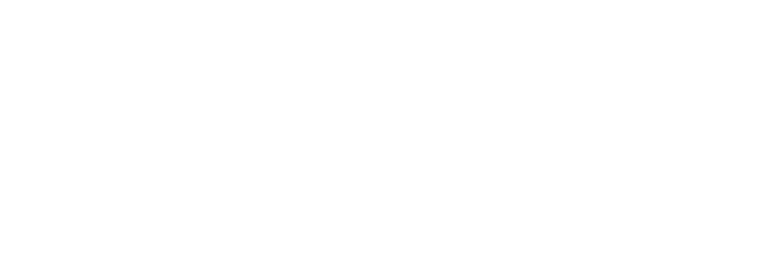 Marine Megafauna Foundation