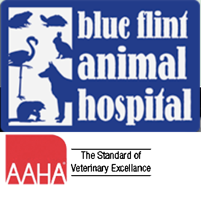 Blue Flint Animal Hospital