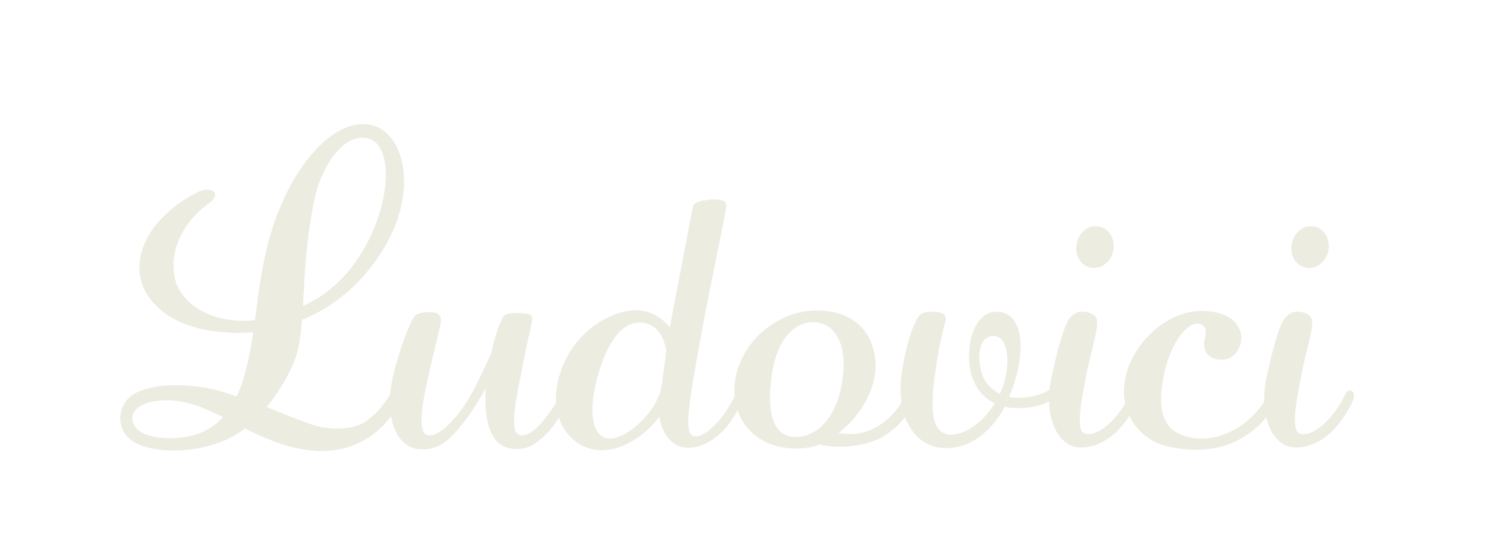 Ludovici Ltd