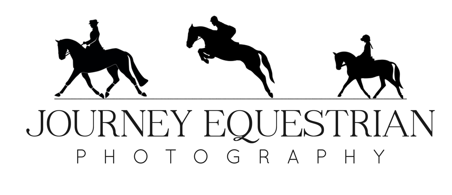Journey Equestrian Photography