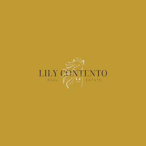 Lily Contento Properties500