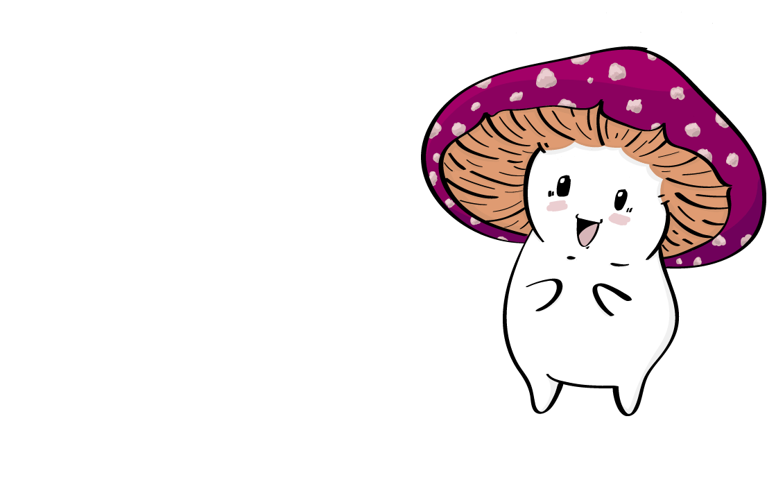 Bright Valley Mushrooms