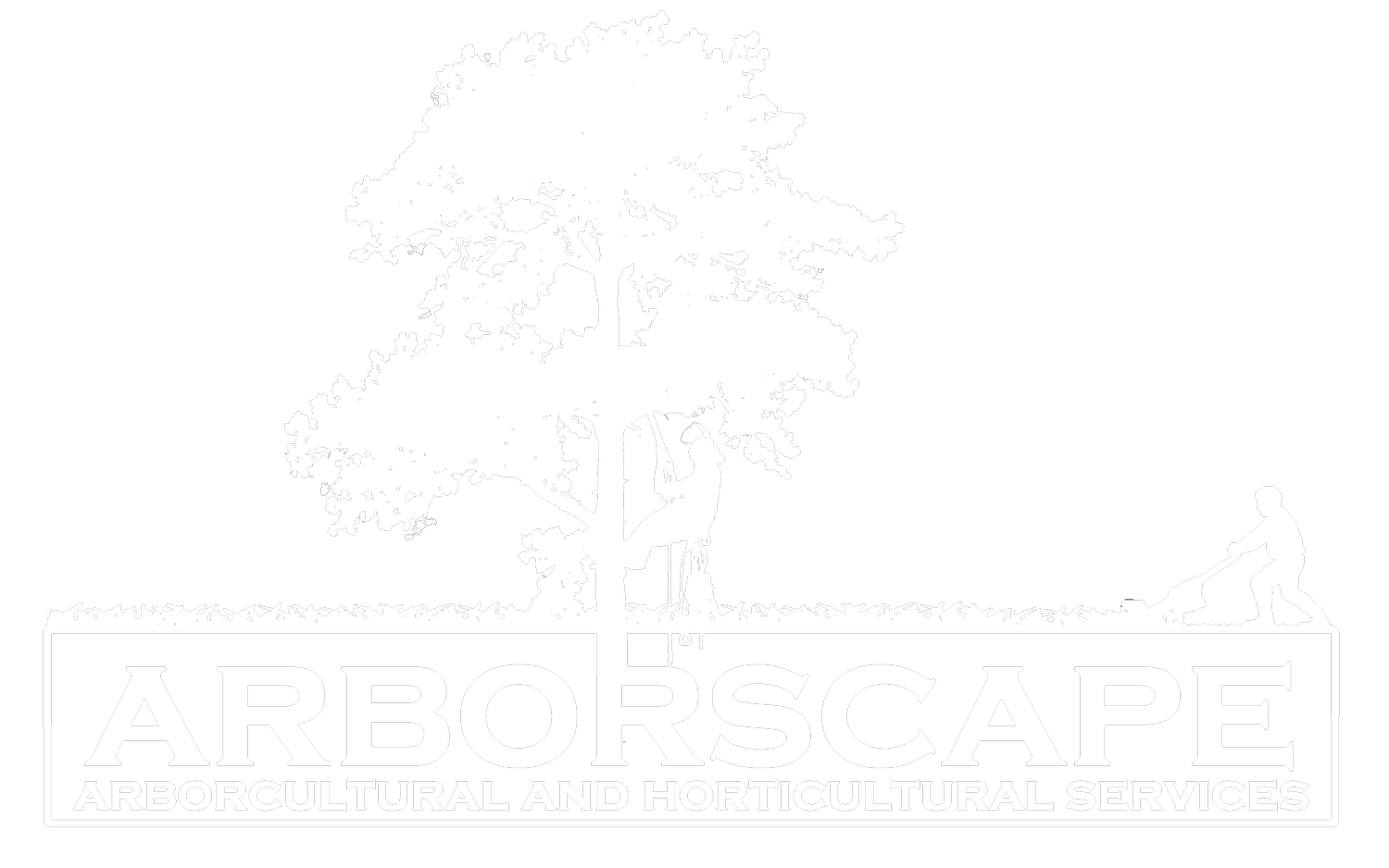 Arborscape Tree Surgery &amp; Grounds Maintenance Cumbria