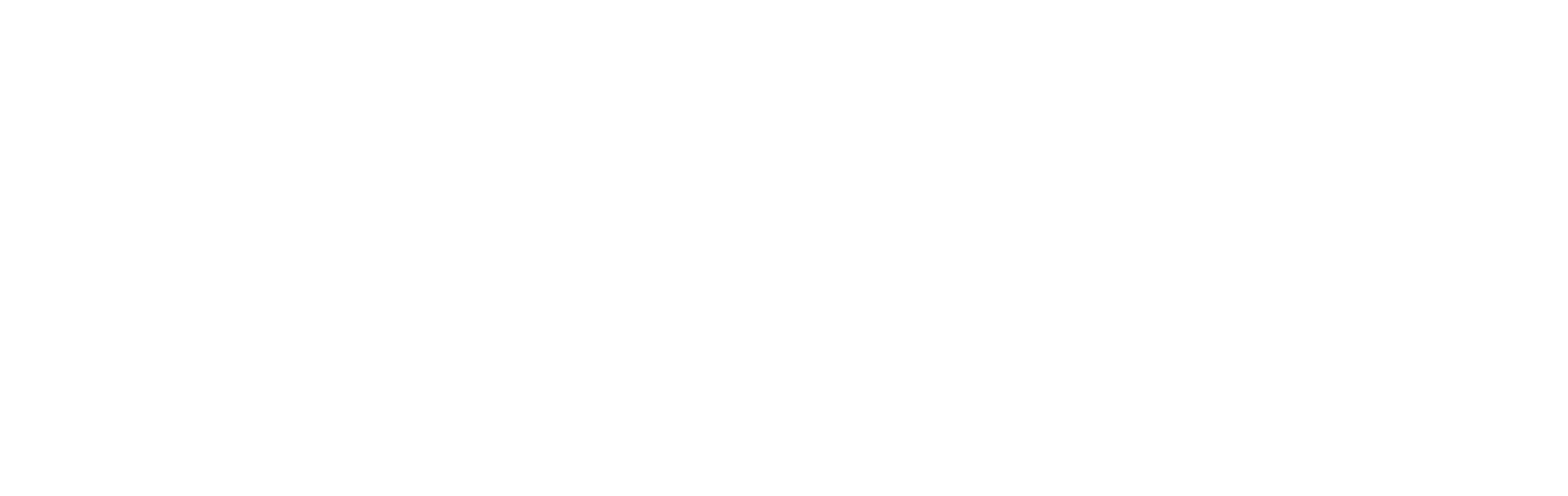 The Light Den Academy