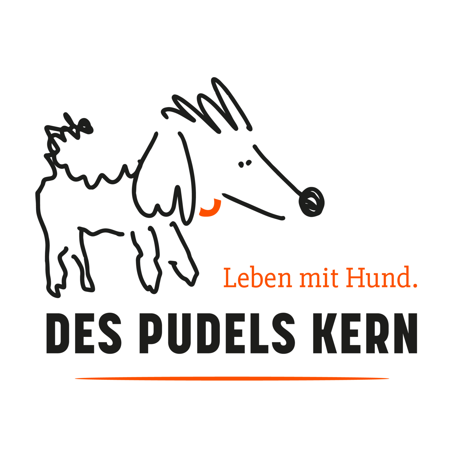 www.despudelskern.ch - Hundeerziehungsberatung