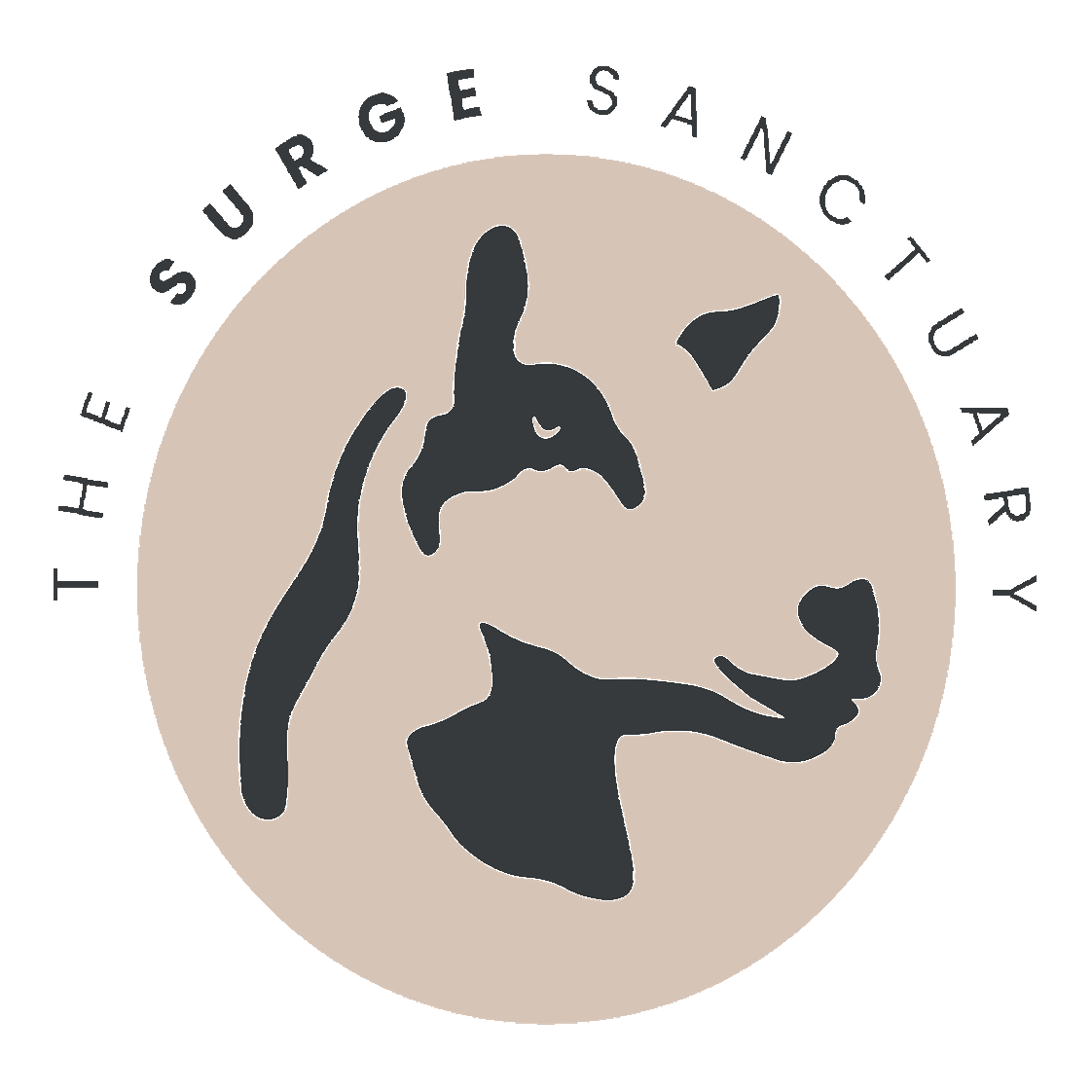 Surge Sanctuary | Vegan Animal Sanctuary