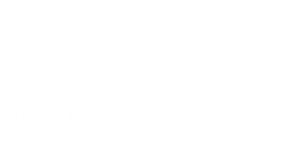 The Exuberant Elephant
