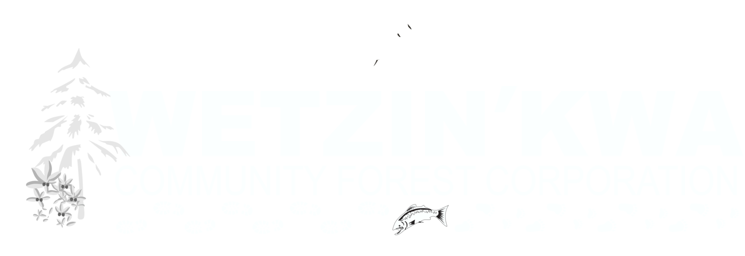 Wetzin&#39;kwa Community Forest