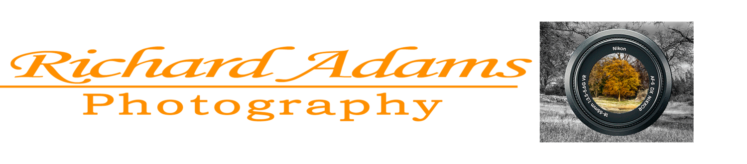 Richard Adams Photography