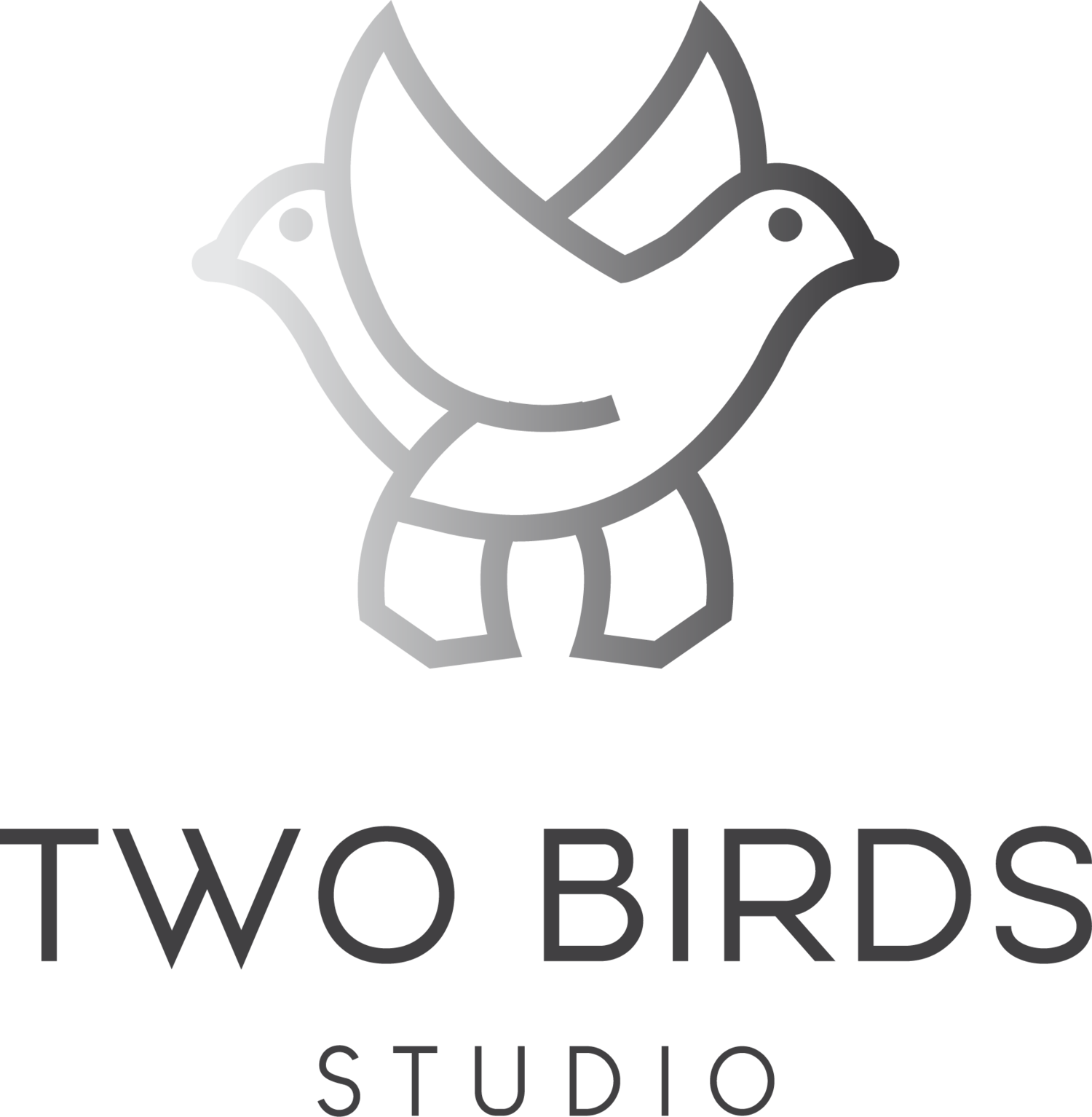 Two Birds Studio