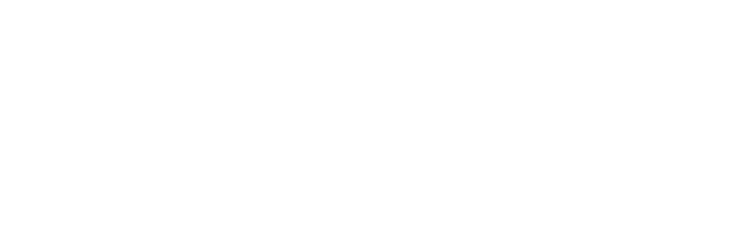 Fort Follies