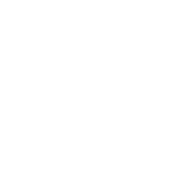 Chef Jean Paul Bourgeois