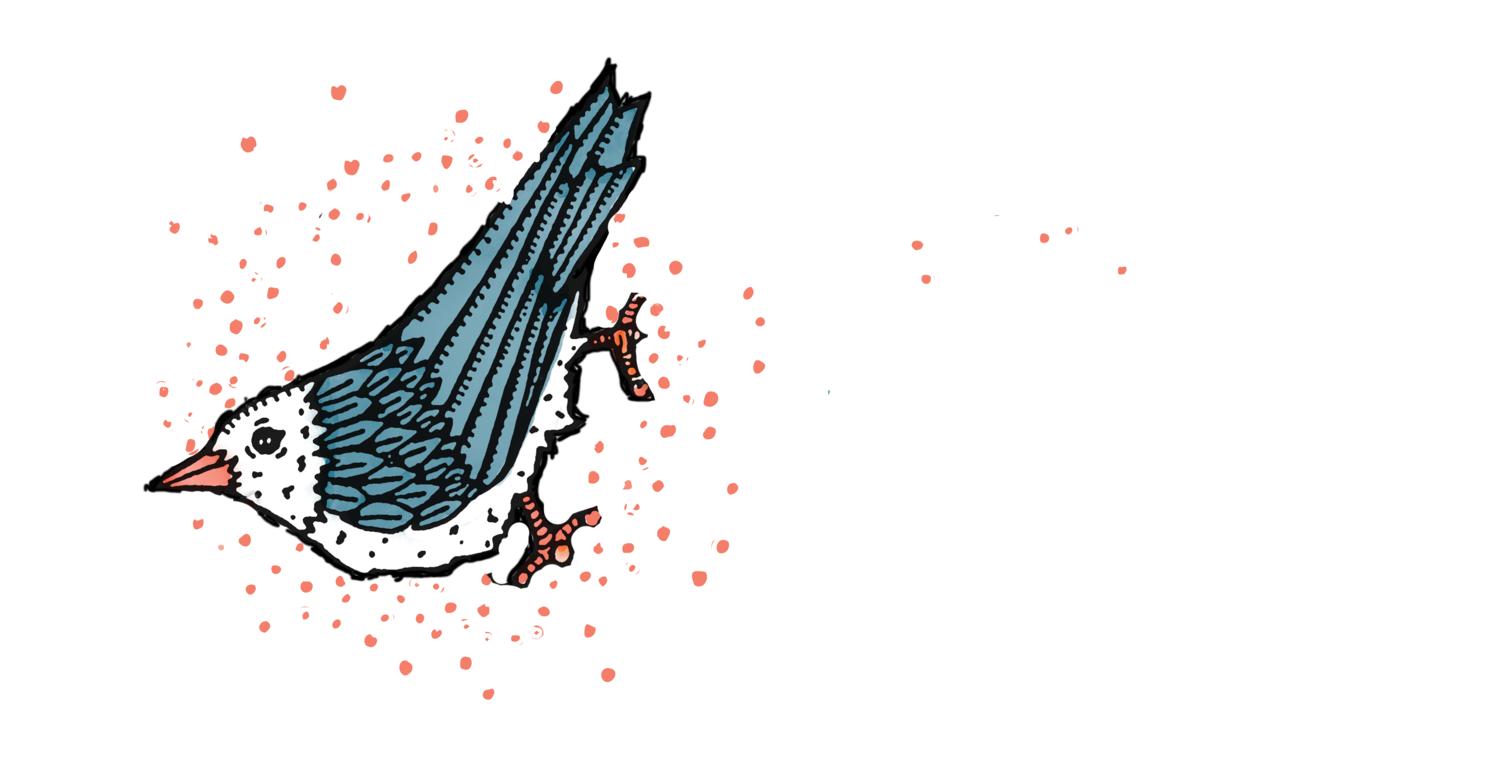 LITTLE BIRD GARDENS