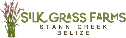 Silk Grass Farms, Belize