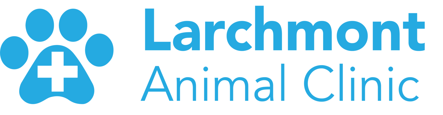 Larchmont Animal Clinic