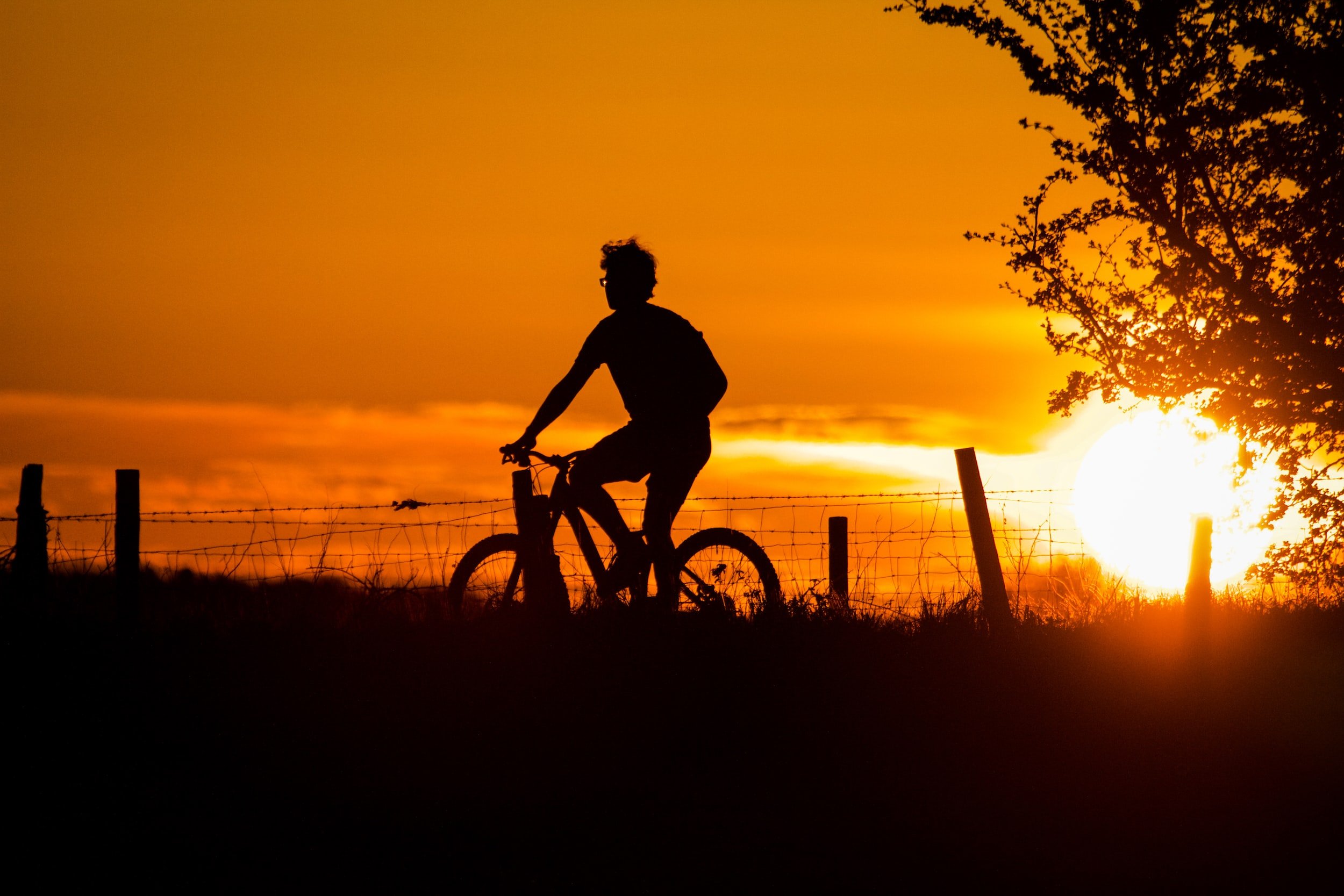 Biker in the sunset
