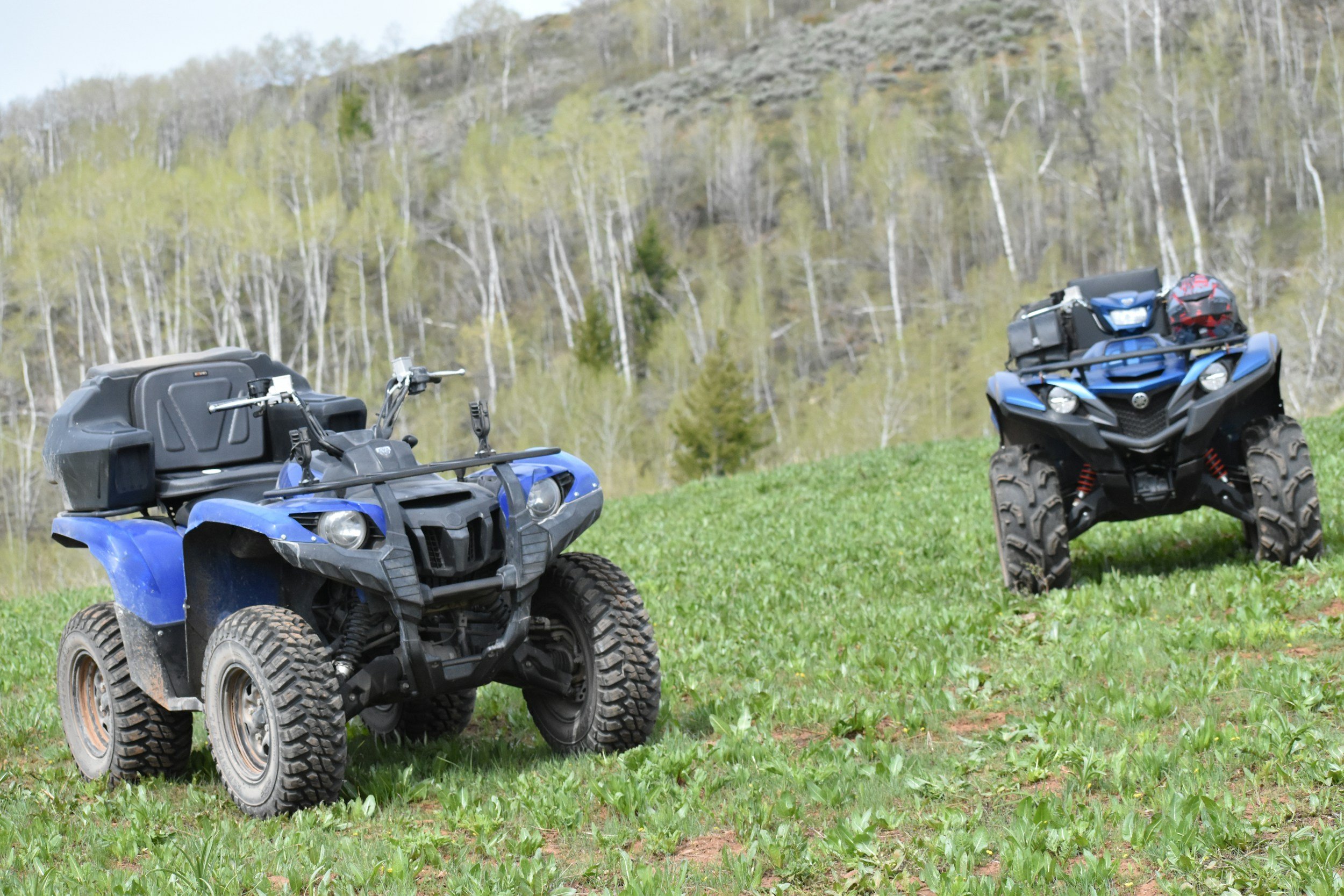 Two blue atv's on grass