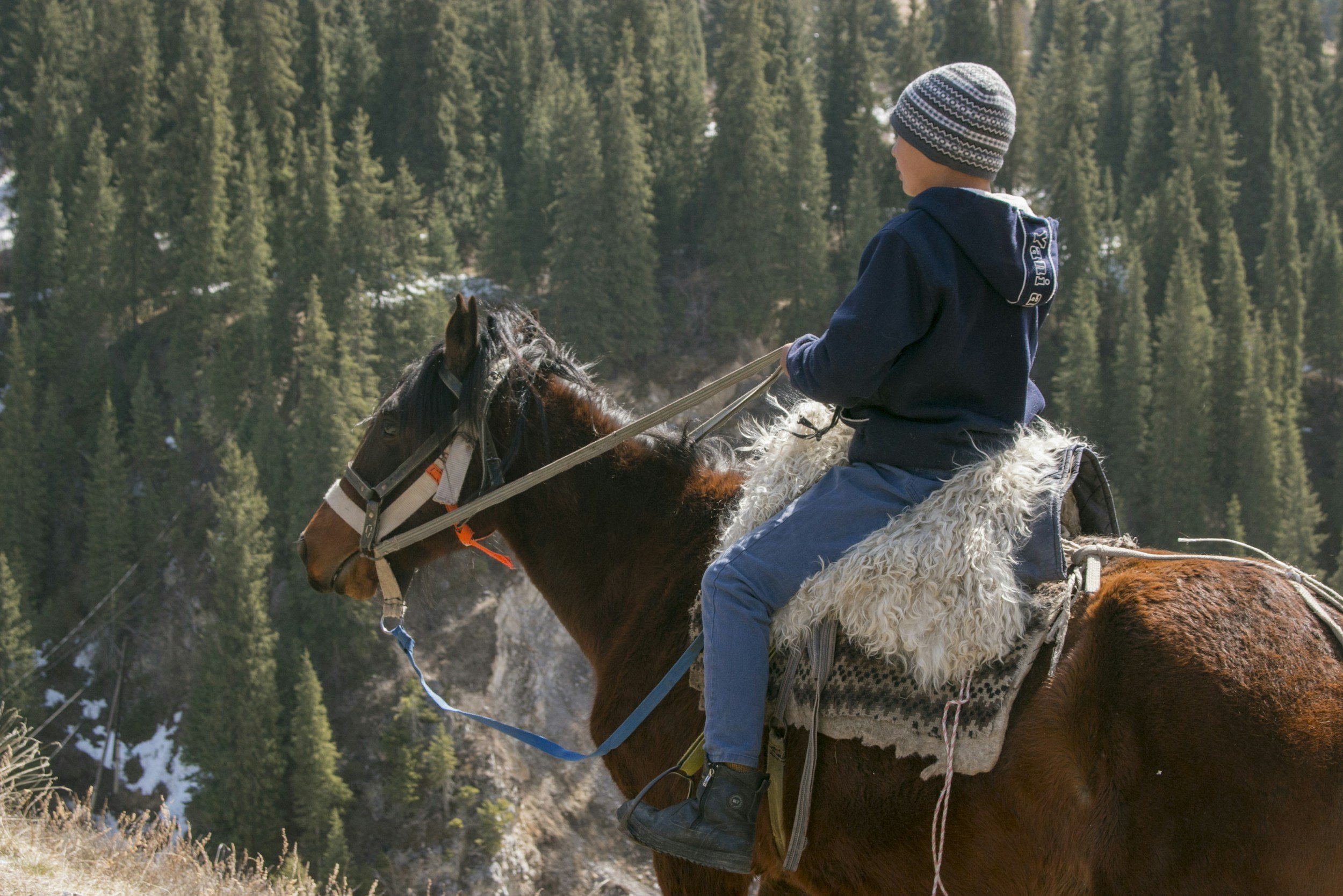 Boy riding brown horse
