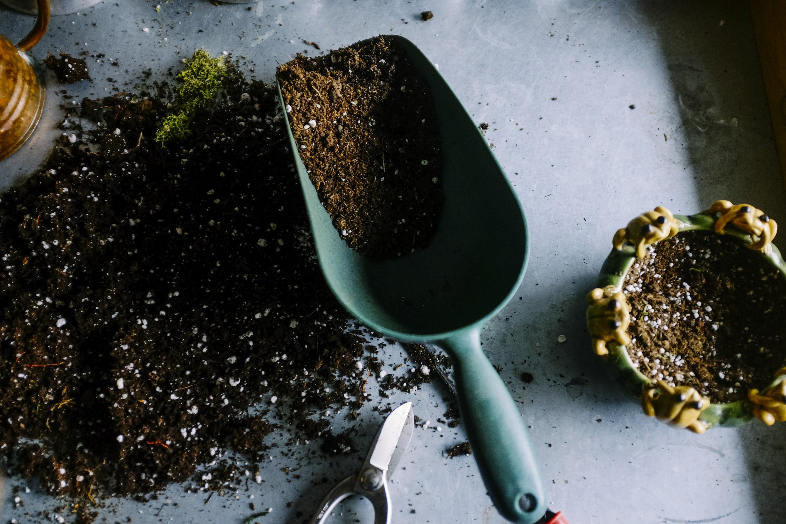 Shovel and dirt