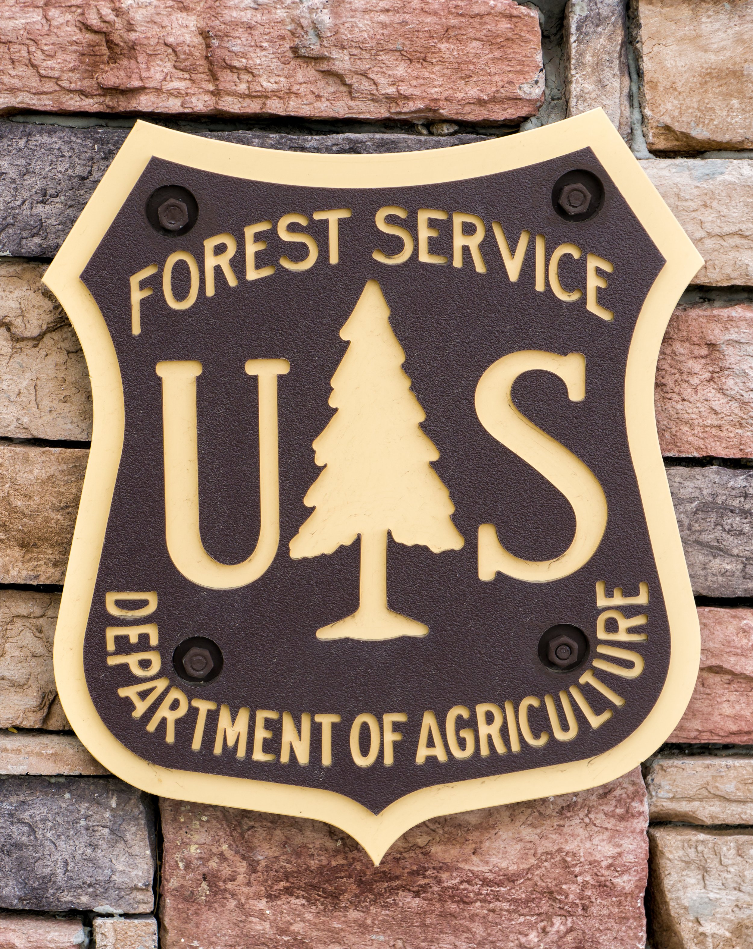 美国林务局标志