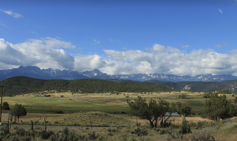 Green pasture with mountains in background