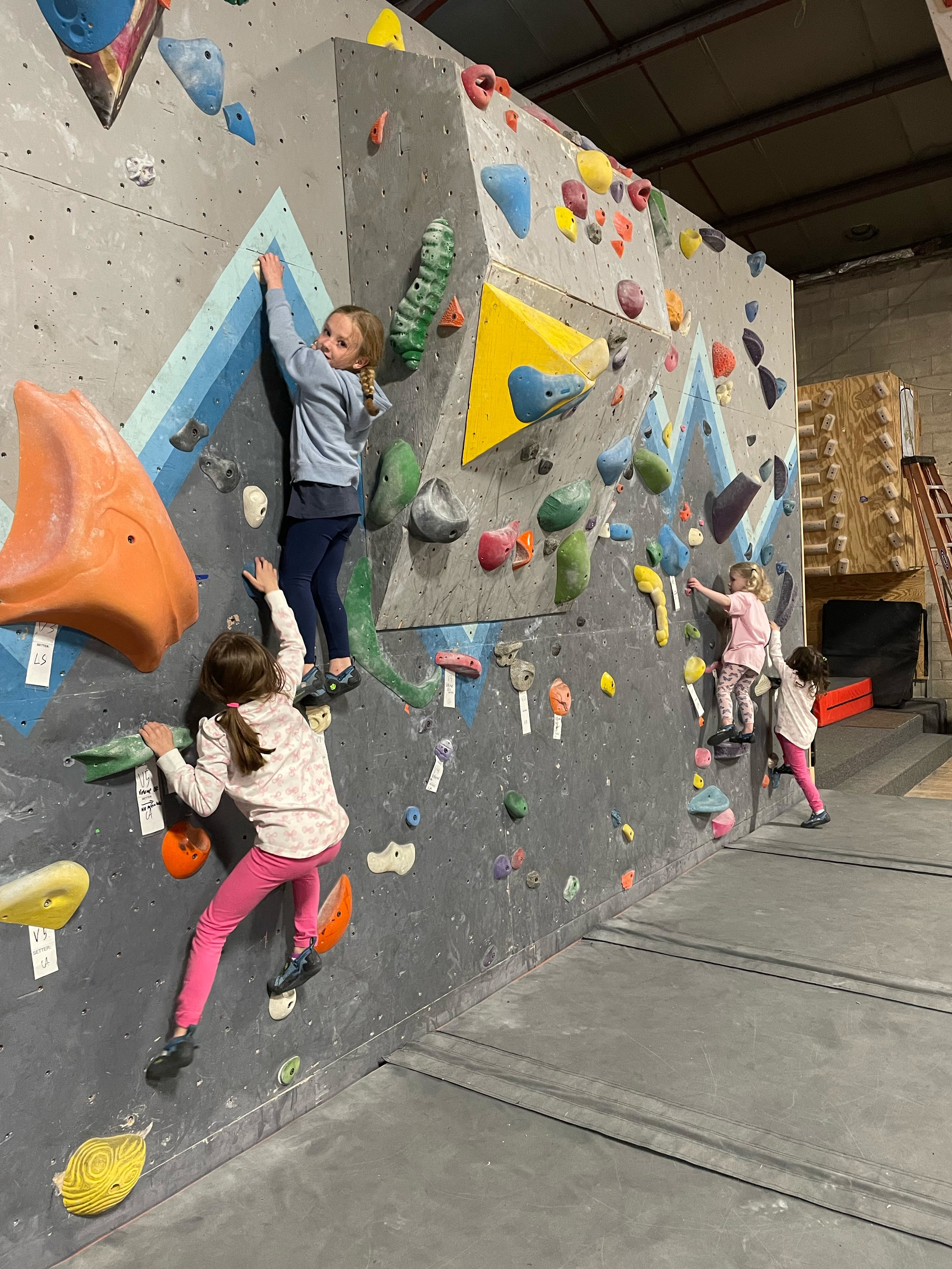 Kids on a climbing wall