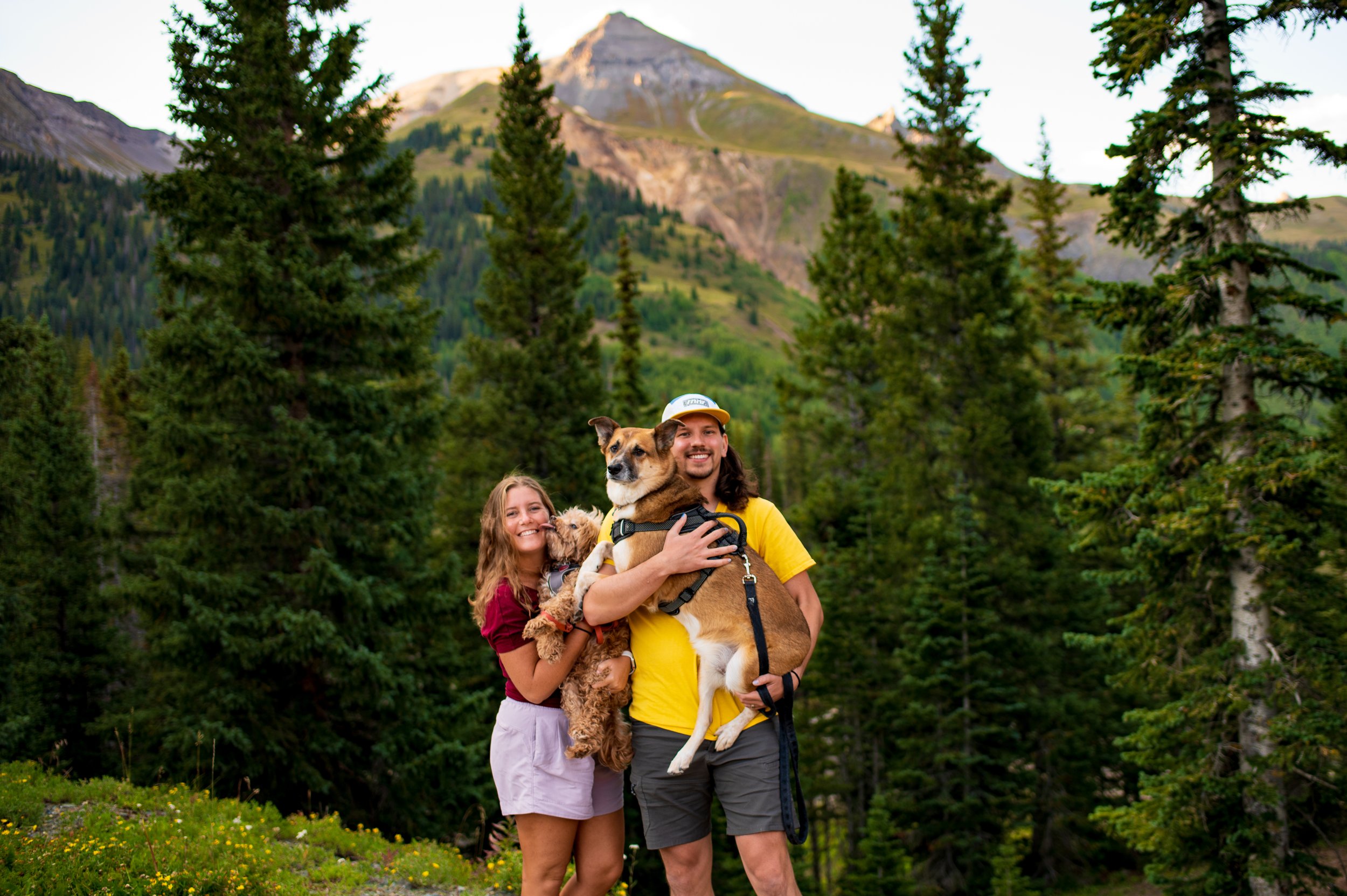 People holding dogs in the mountains