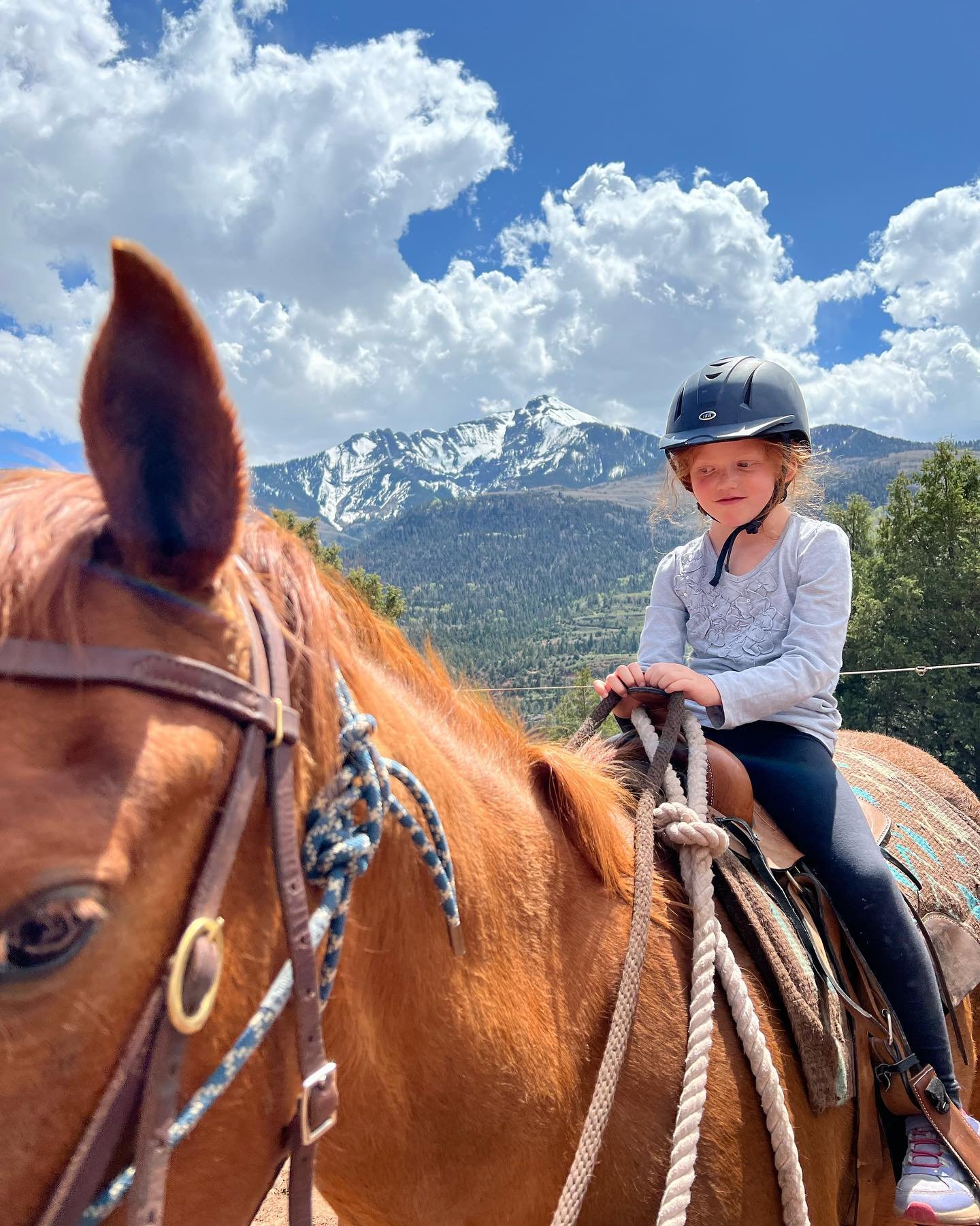 Little girl on a horse