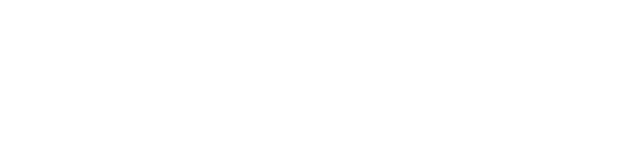 Committee for a SANE U.S.-China Policy 