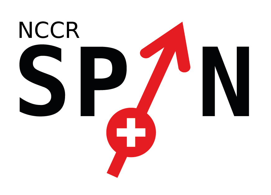 NCCR SPIN: Spin Qubits in Silicon