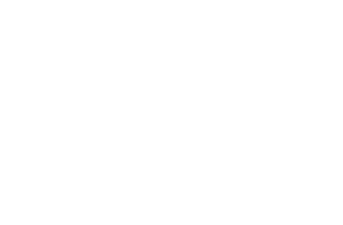 Above The Stag