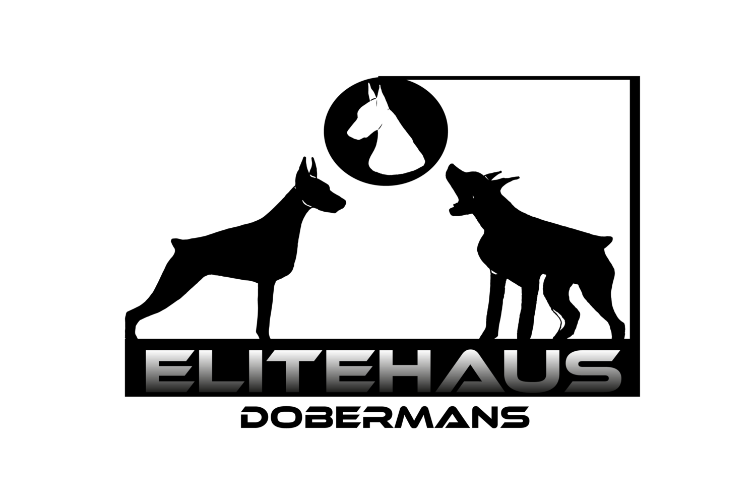 Elitehaus