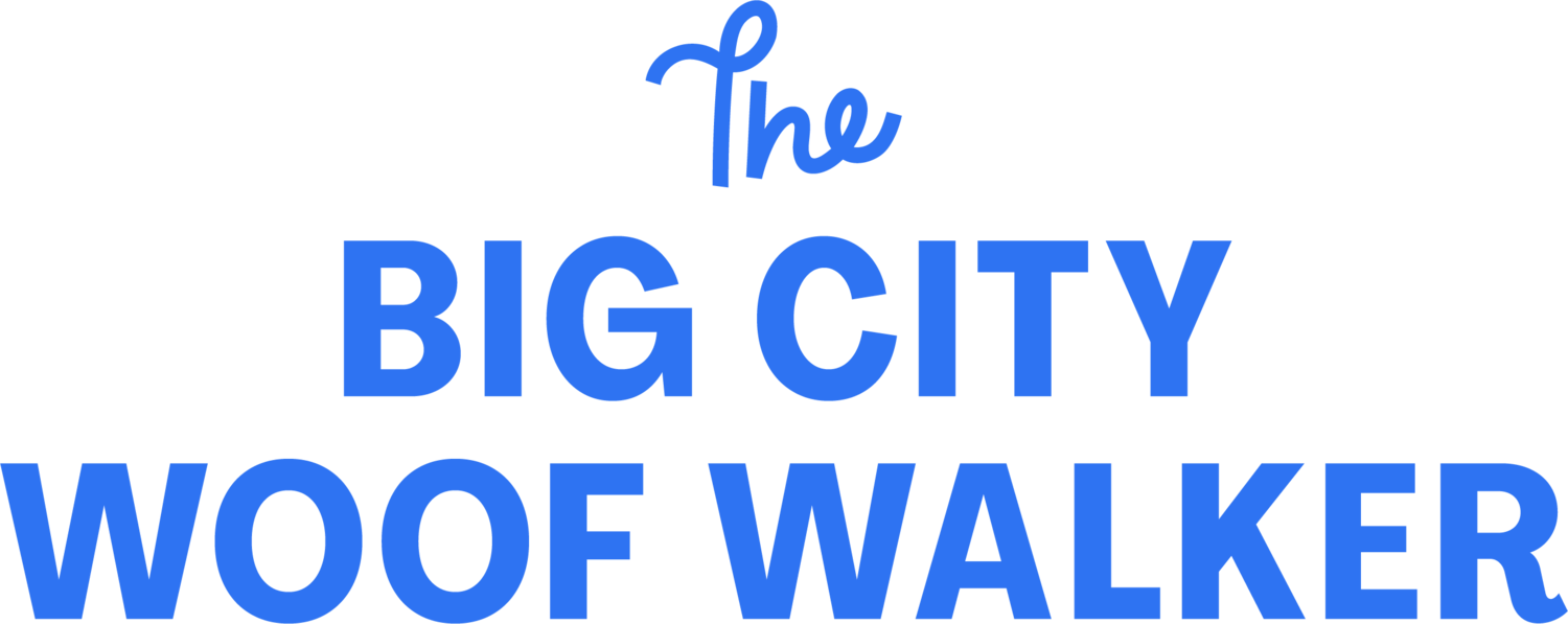 The Big City Woof Walker