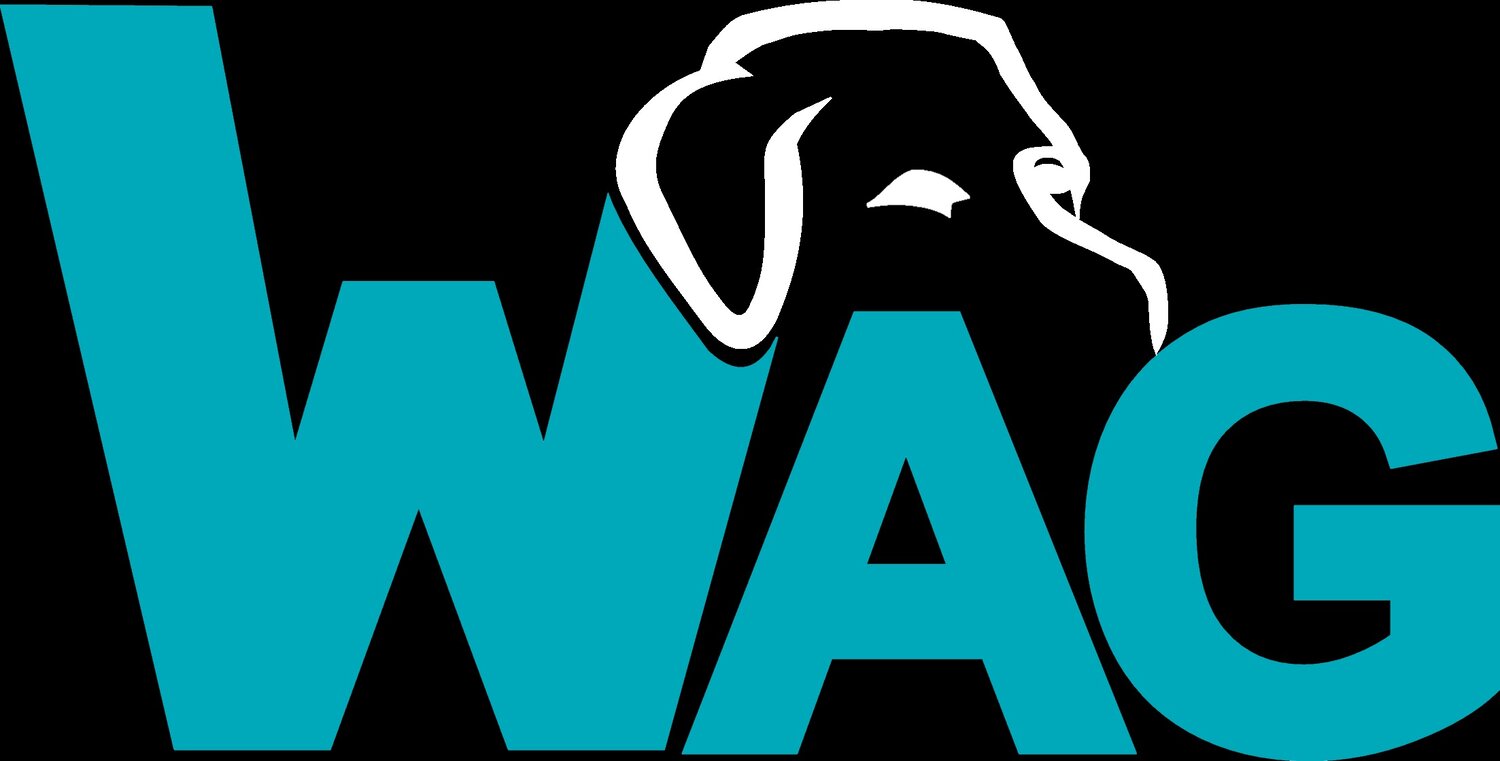 Wag Canine Recreation Centre :: Located in downtown Amherst Nova Scotia