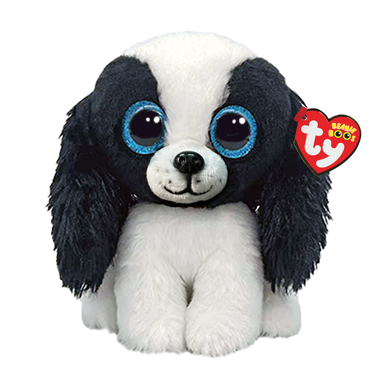 TY - Beanie Boo Assortment (Plush Toys) — McGillicuddy's Toyshop
