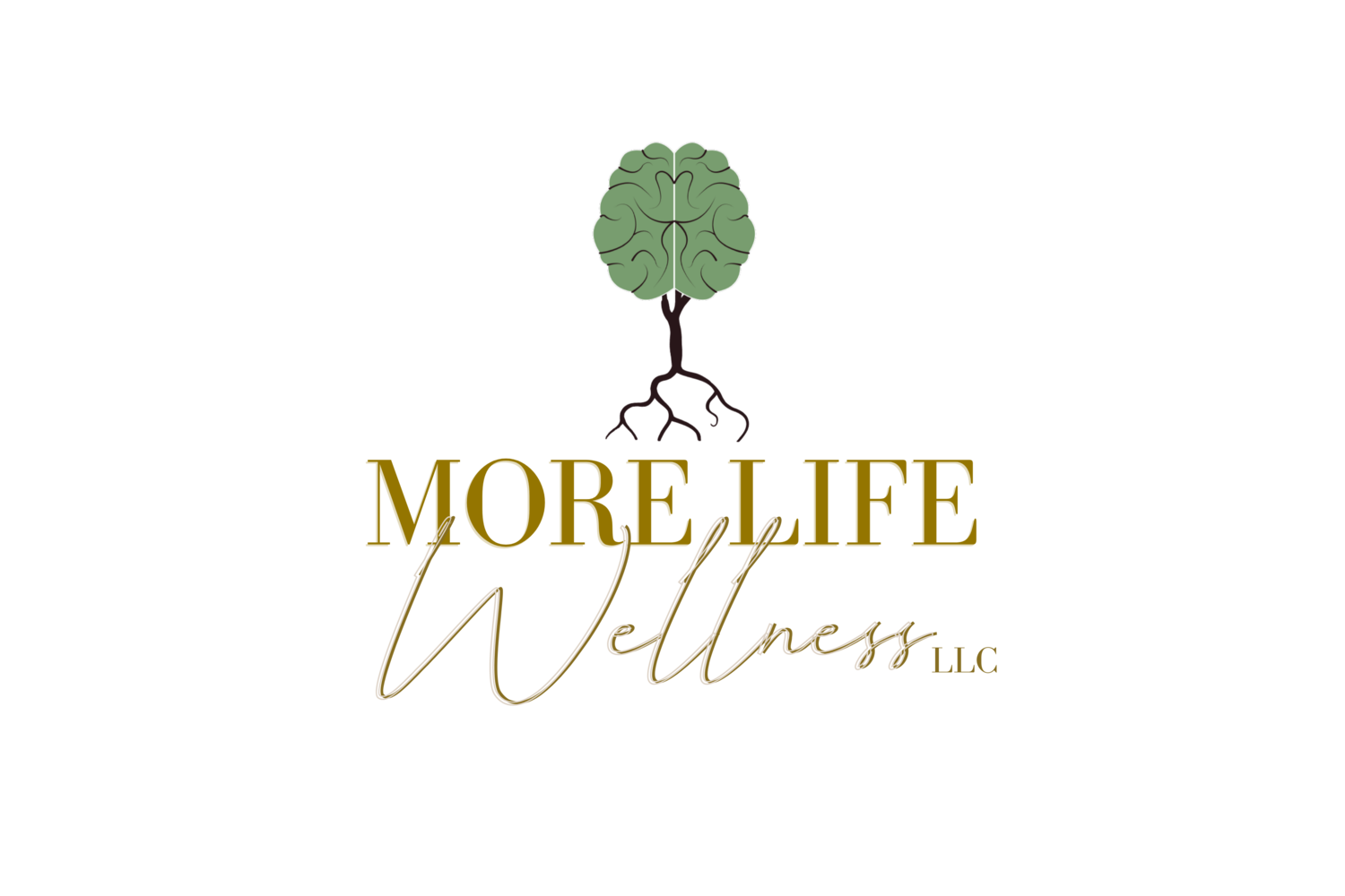 More Life Wellness, LLC - Black Therapist in Jacksonville, FL
