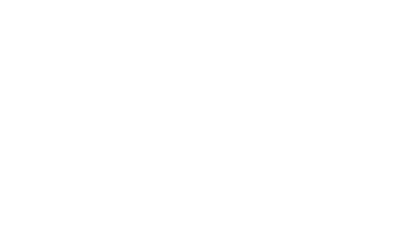 Vincent&#39;s Next Steps