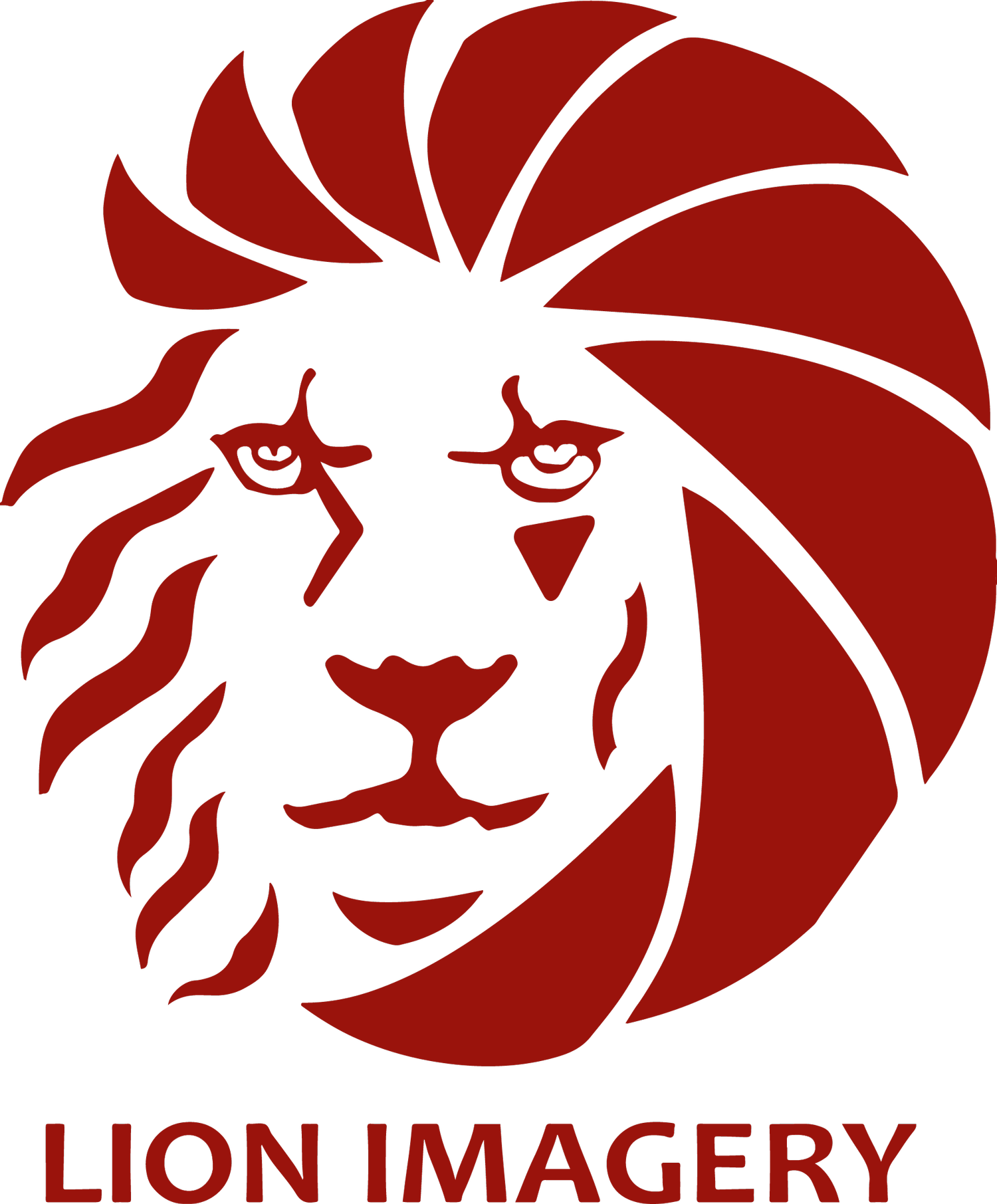 Lion Imagery