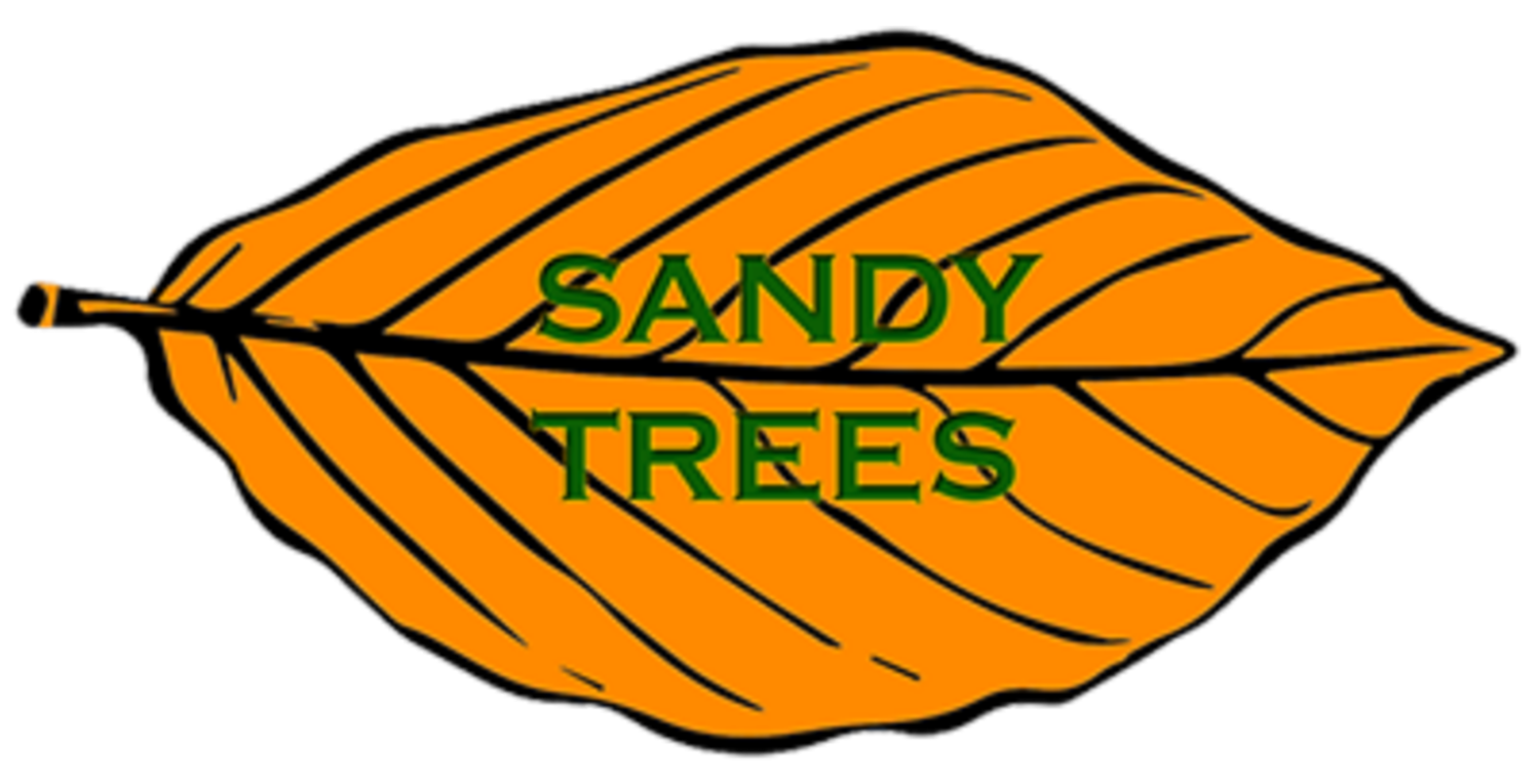 Sandy Trees - Tree Surgeon