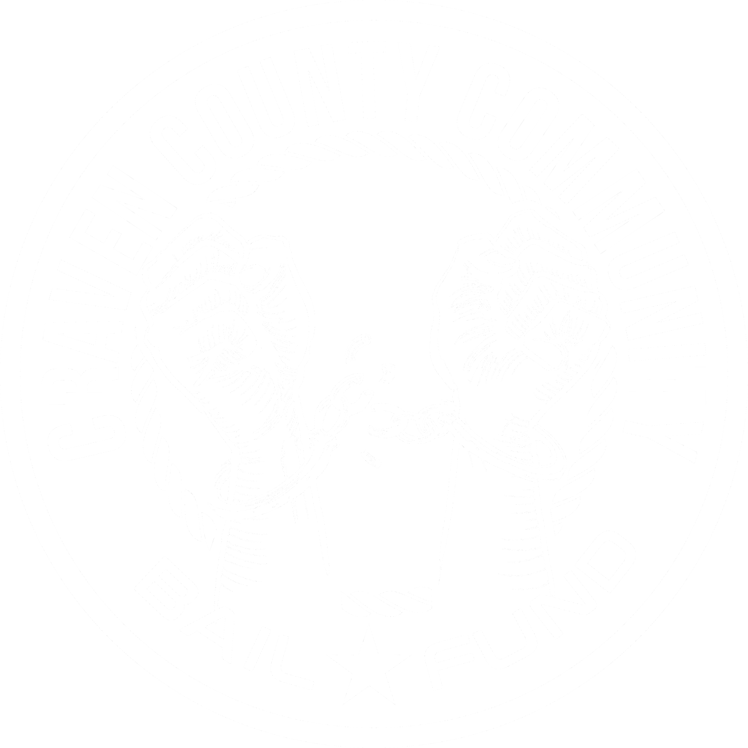 Craven County Community Bail Fund