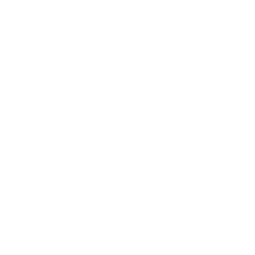 AJ Excursions